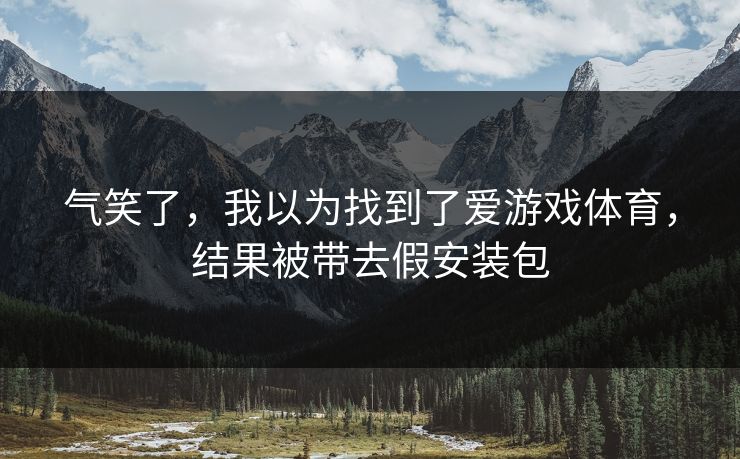 气笑了，我以为找到了爱游戏体育，结果被带去假安装包